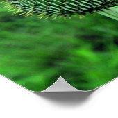 Thistle Poster (Hoek)