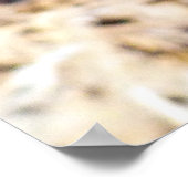 Thistle Poster (Hoek)