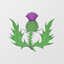 Thistle