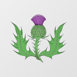 Thistle Raamsticker
