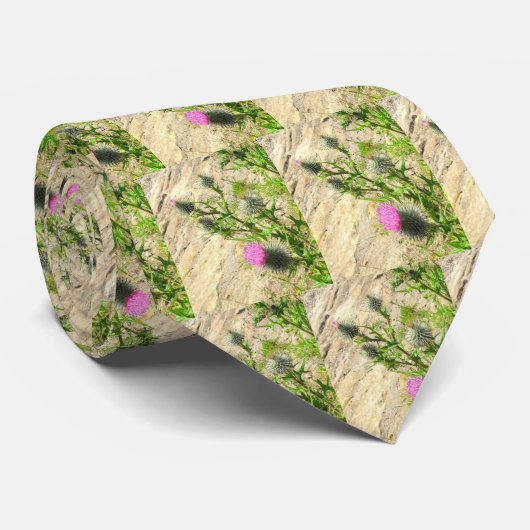 Thistle Stropdas (Opgerold)