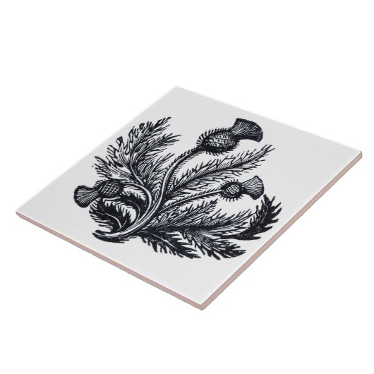 Thistle Tegeltje (Zijkant)