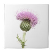 Thistle Tegeltje (Voorkant)
