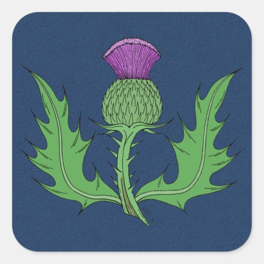 Thistle Vierkante Sticker (Voorkant)