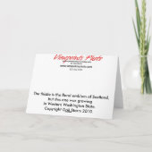 Thistle Wenskaart Kaart (Achterkant)