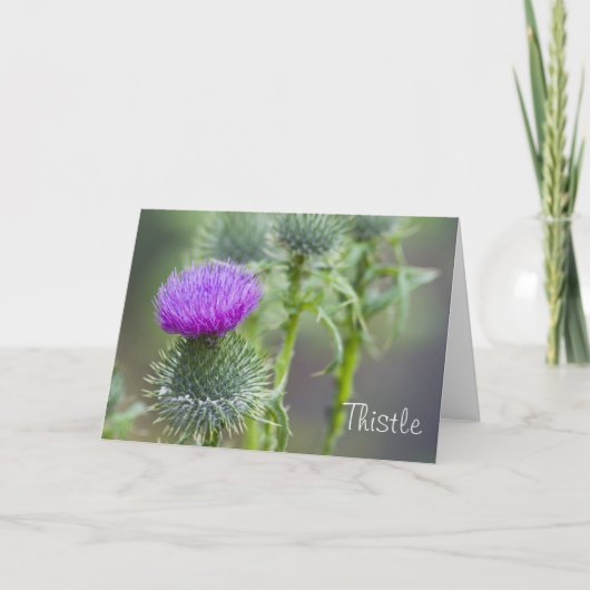 Thistle Wenskaart Kaart (Voorkant)