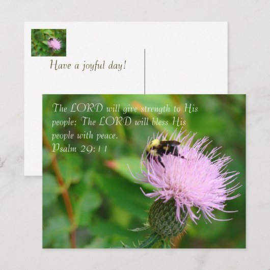 Thistle Wildflower Briefkaart (Voorkant / Achterkant)