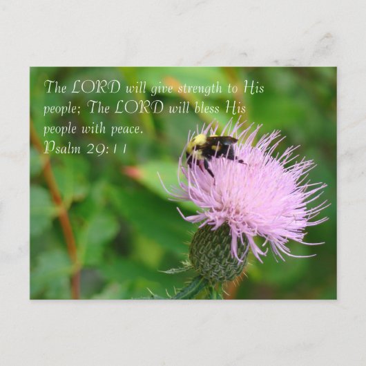 Thistle Wildflower Briefkaart (Voorkant)