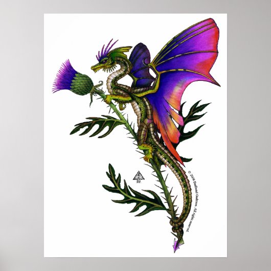 Thistlebairn Print (Voorkant)