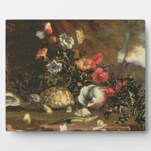 Thistles, bloemen, reptielen en vlinders naast elk fotoplaat