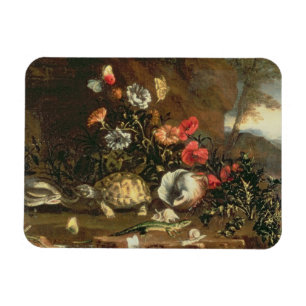 Thistles, bloemen, reptielen en vlinders naast elk magneet