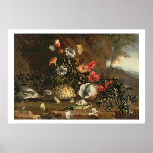 Thistles, bloemen, reptielen en vlinders naast elk poster (Voorkant)