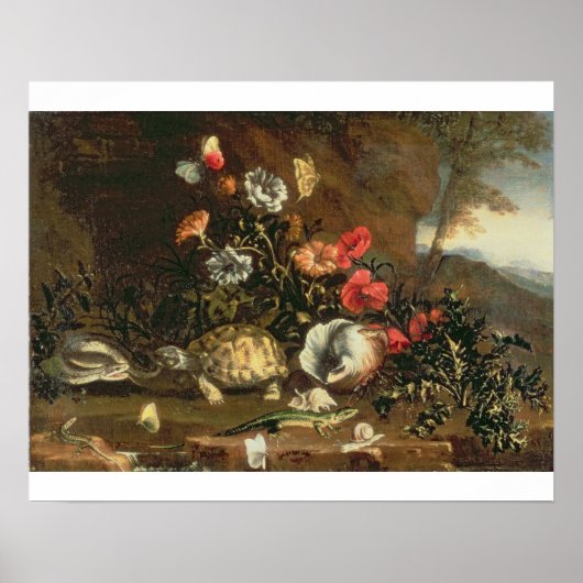 Thistles, bloemen, reptielen en vlinders naast elk poster (Voorkant)