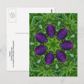 Thistles Briefkaart (Voorkant / Achterkant)