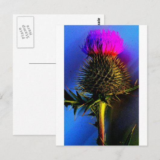 Thistles, de bloem van Schotland. Briefkaart (Voorkant / Achterkant)