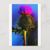 Thistles, de bloem van Schotland. Briefkaart (Voorkant)
