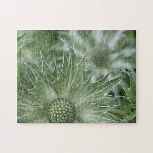 Thistles Puzzle Legpuzzel (Horizontaal)