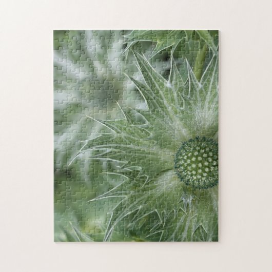 Thistles Puzzle Legpuzzel (Verticaal)