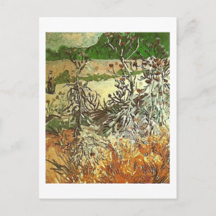 Thistles, Van Gogh Fine Art Briefkaart
