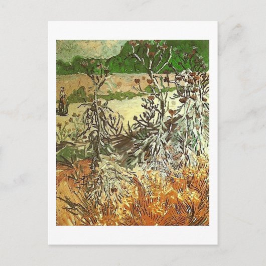 Thistles, Van Gogh Fine Art Briefkaart (Voorkant)