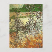 Thistles, Van Gogh Fine Art Briefkaart (Voorkant)