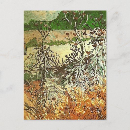 Thistles, Van Gogh Fine Art Briefkaart (Voorkant)