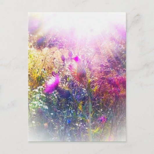 THISTTEL BRIEFKAART (Voorkant)