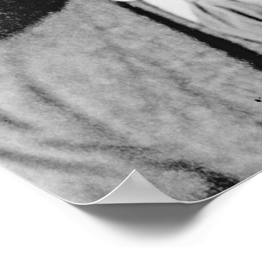 Thoby Stephen, c.1902 Poster (Hoek)