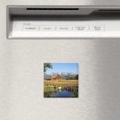 Thomas A. Moulton Barn Magneet (Insitu (Vaatwasser))