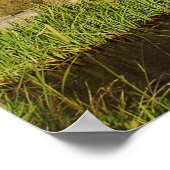 Thomas A. Moulton Barn Poster (Hoek)