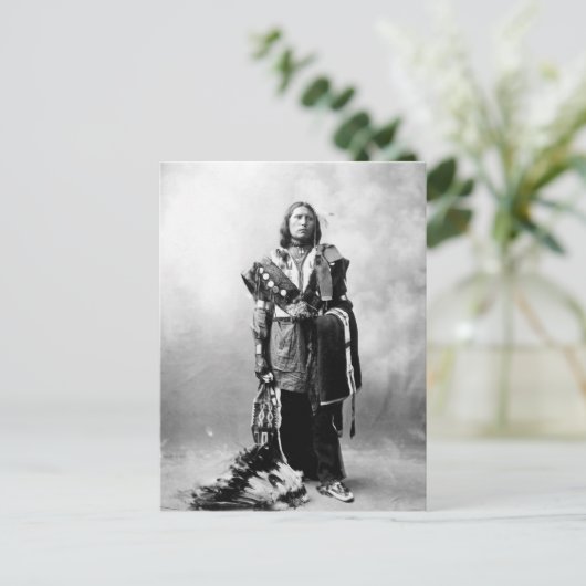 Thomas American Horse Briefkaart (Staand voorkant)