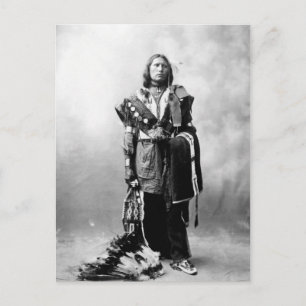 Thomas American Horse Briefkaart