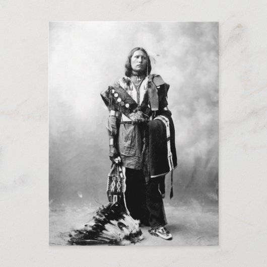 Thomas American Horse Briefkaart (Voorkant)