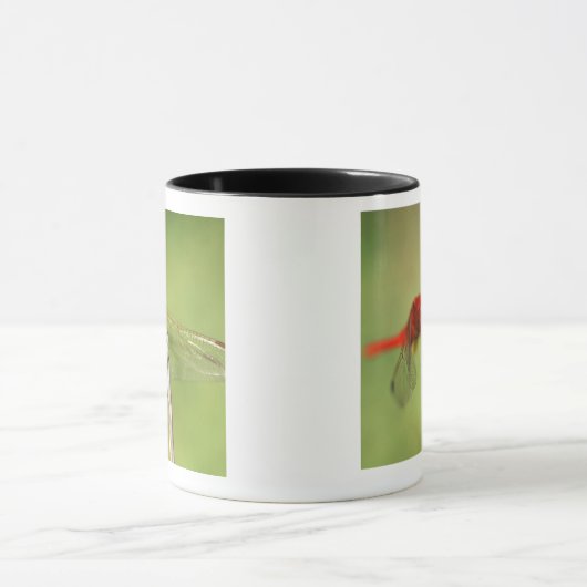 Thomas Baines Natuur Reserve, oostelijk Kaapje Mok (Midden)