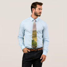 Thomas Cole de Oxbow de Connecticut rivier