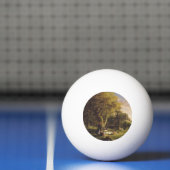 Thomas Cole de PIC-NIC Pingpongbal (Net)