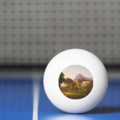 Thomas Cole Dream van Arcadia Pingpongbal (Net)