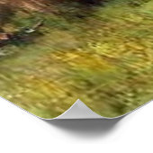 Thomas Corsan Morton’s Gedeelde Weiland Poster (Hoek)