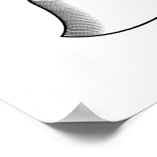 Thomas Family Crest Poster (Hoek)