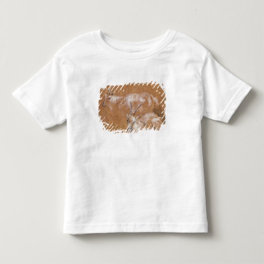 Thomas Gainsborough | Studie van geiten (tekening) Kinder Shirts (Voorkant)