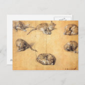 Thomas Gainsborough. Zes studies bij een kat Briefkaart (Voorkant / Achterkant)