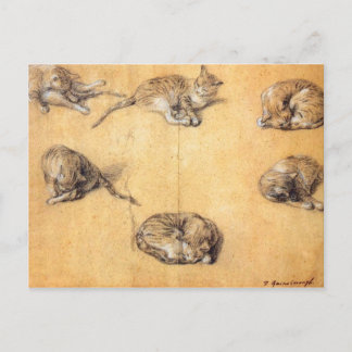 Thomas Gainsborough. Zes studies bij een kat Briefkaart