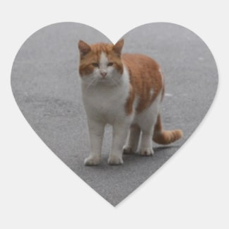 Thomas Ginger en White Cat Hart Sticker