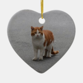 Thomas Ginger en White Cat Keramisch Ornament