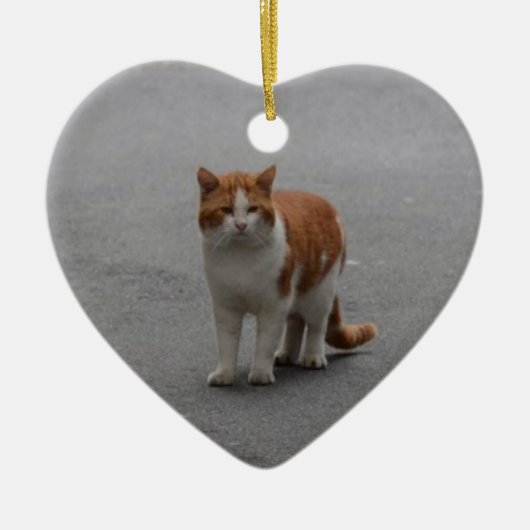 Thomas Ginger en White Cat Keramisch Ornament (Voorkant)