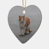 Thomas Ginger en White Cat Keramisch Ornament (Links)