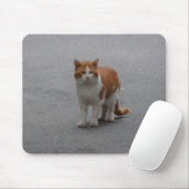 Thomas Ginger en White Cat Muismat (Met muis)