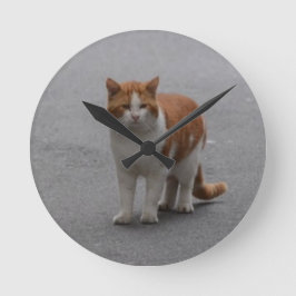 Thomas Ginger en White Cat Ronde Klok