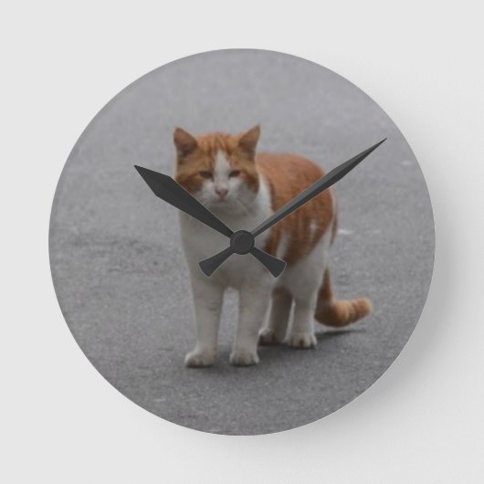 Thomas Ginger en White Cat Ronde Klok (Voorkant)