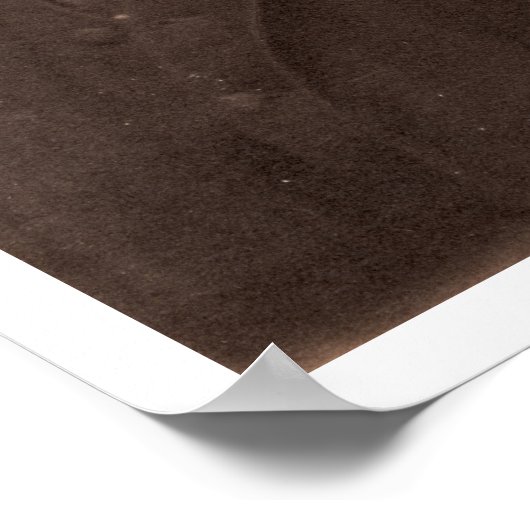 Thomas Hardy (1840-1928) (foto sepia) Poster (Hoek)